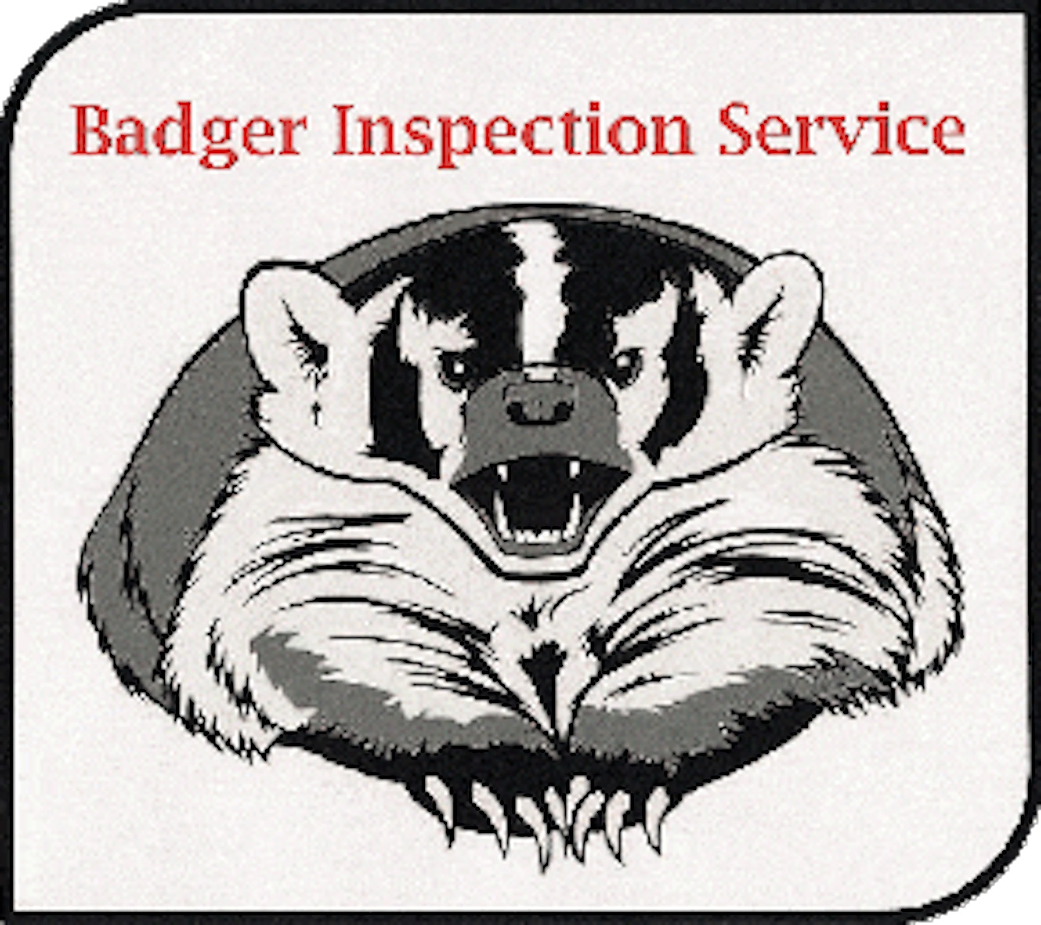 Badger Inspection Service