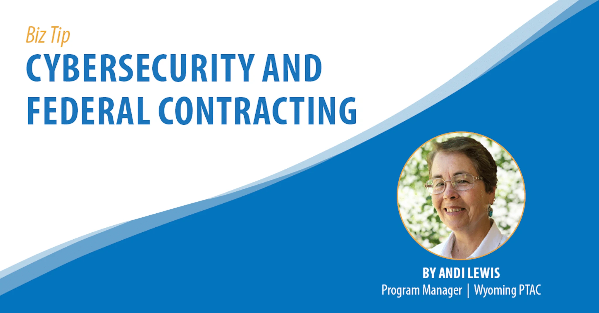 Cybersecurity and Federal Contracting
