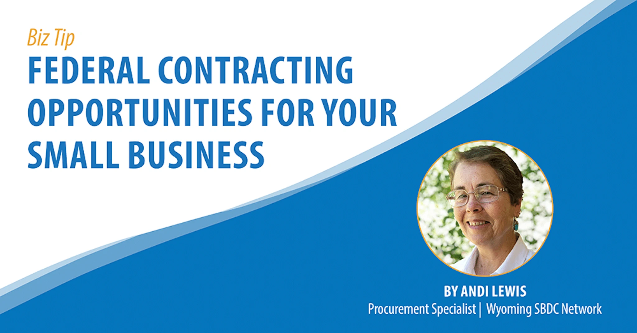 Finding Bid Opportunities for Government Contracts