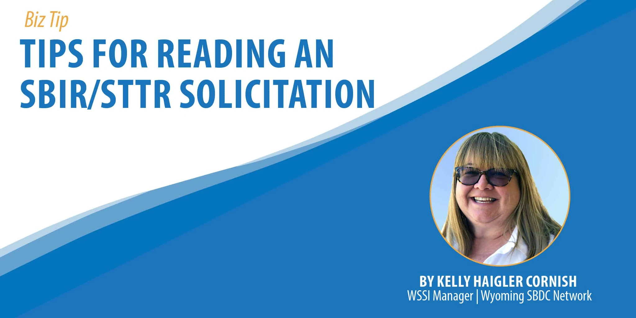 Tips for Reading an SBIR/STTR Solicitation