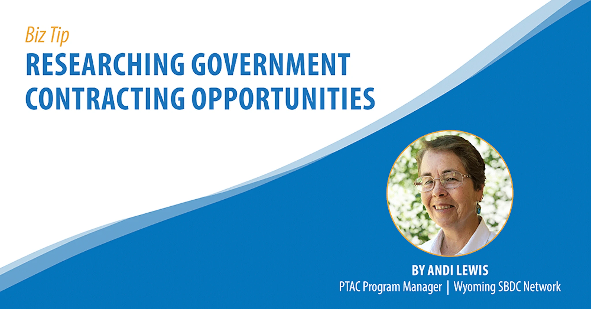 Researching Government Contracting Opportunities