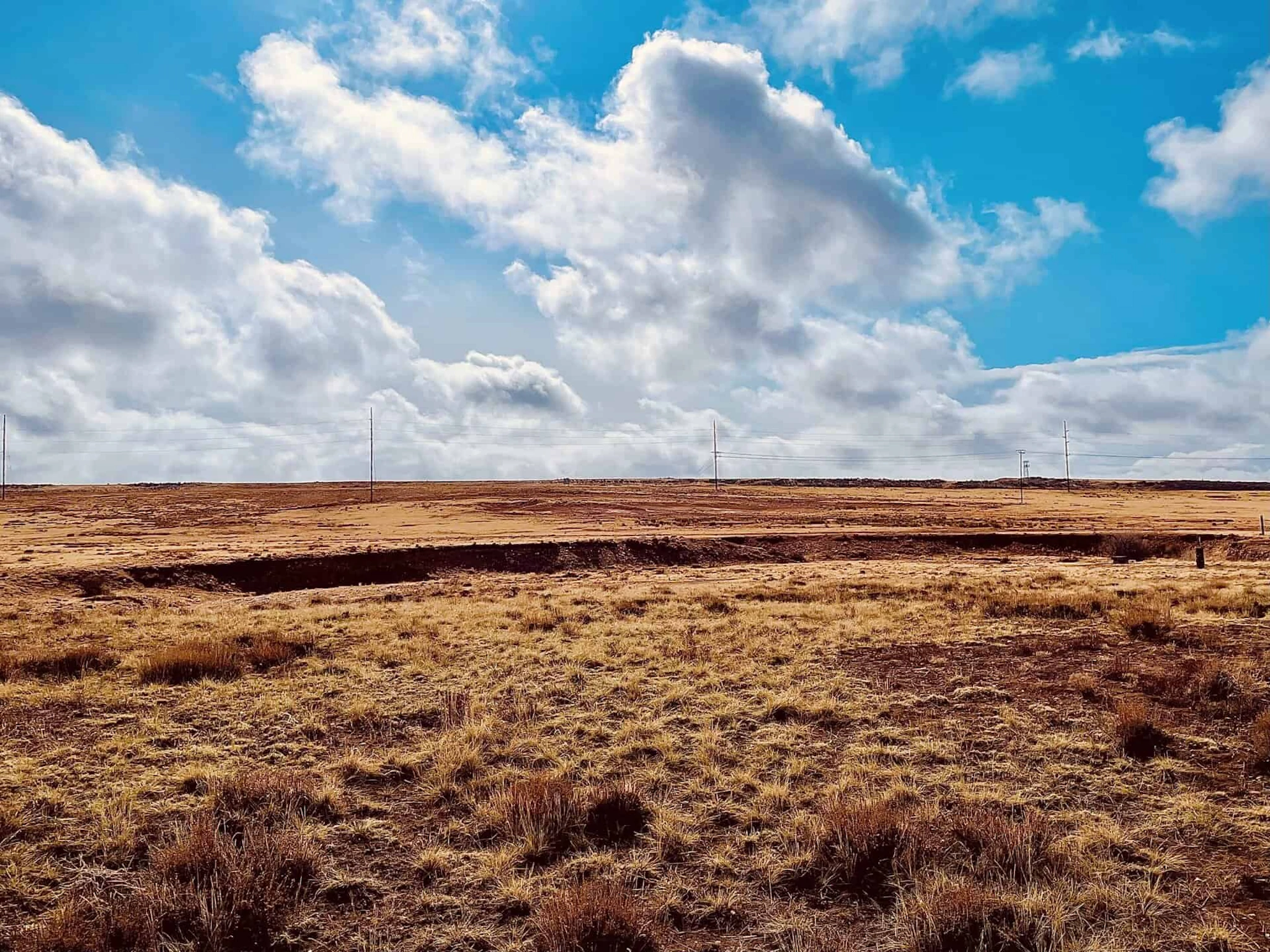 Wyoming Business Growth